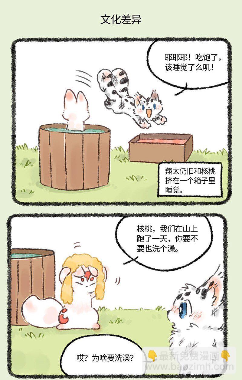 🍜有兽焉 592 翔太的一天 第5页