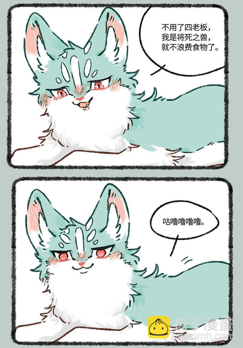 🍜有兽焉 607 投喂猫猫类 第5页