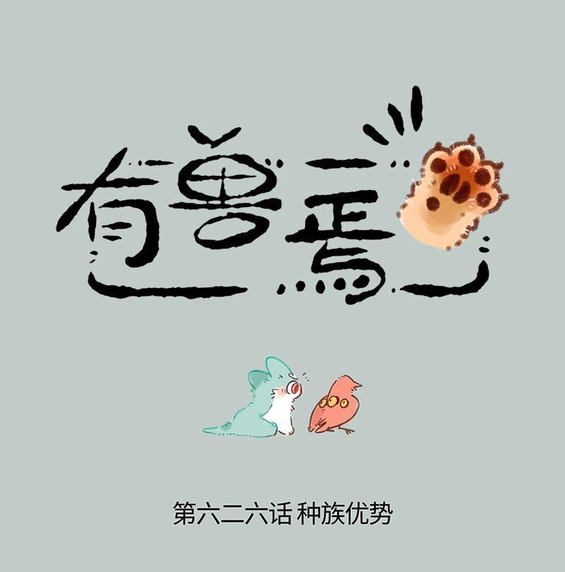 🍜有兽焉 626 毛毛的成长日记 第1页