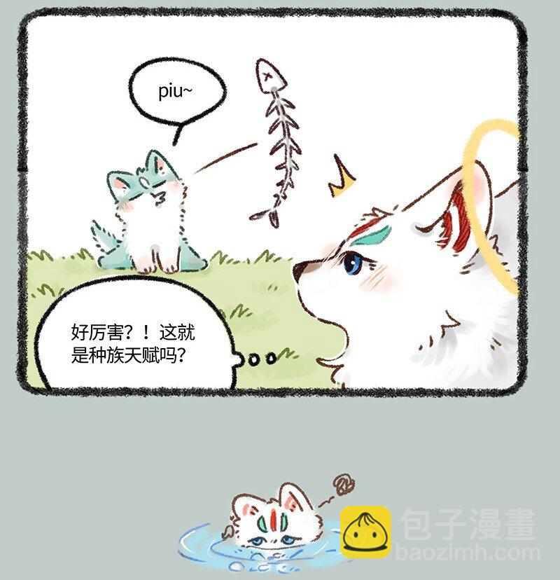 🍜有兽焉 626 毛毛的成长日记 第4页