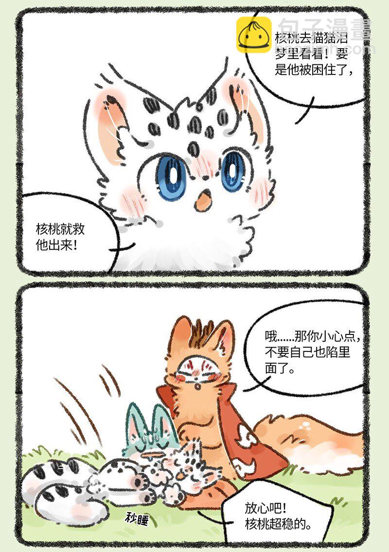 🍜有兽焉 664 这种猫精埋了吧 第6页