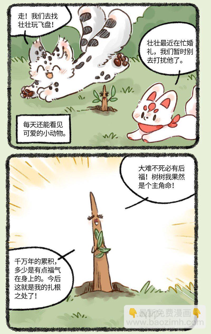 🍜有兽焉 681 后院居住权 第3页
