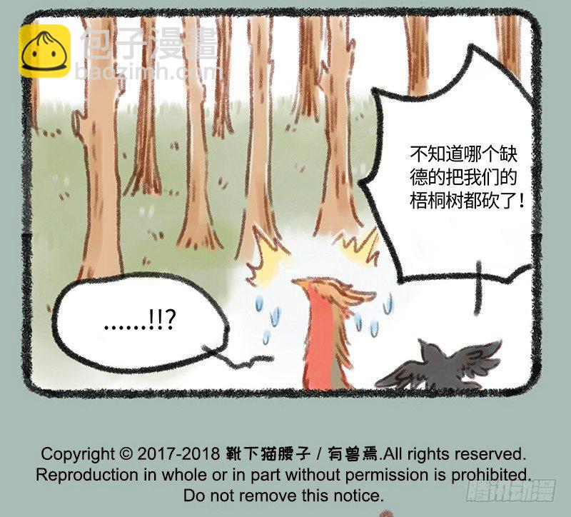 🍜有兽焉 给爱豆的，一定是最好的 第11页