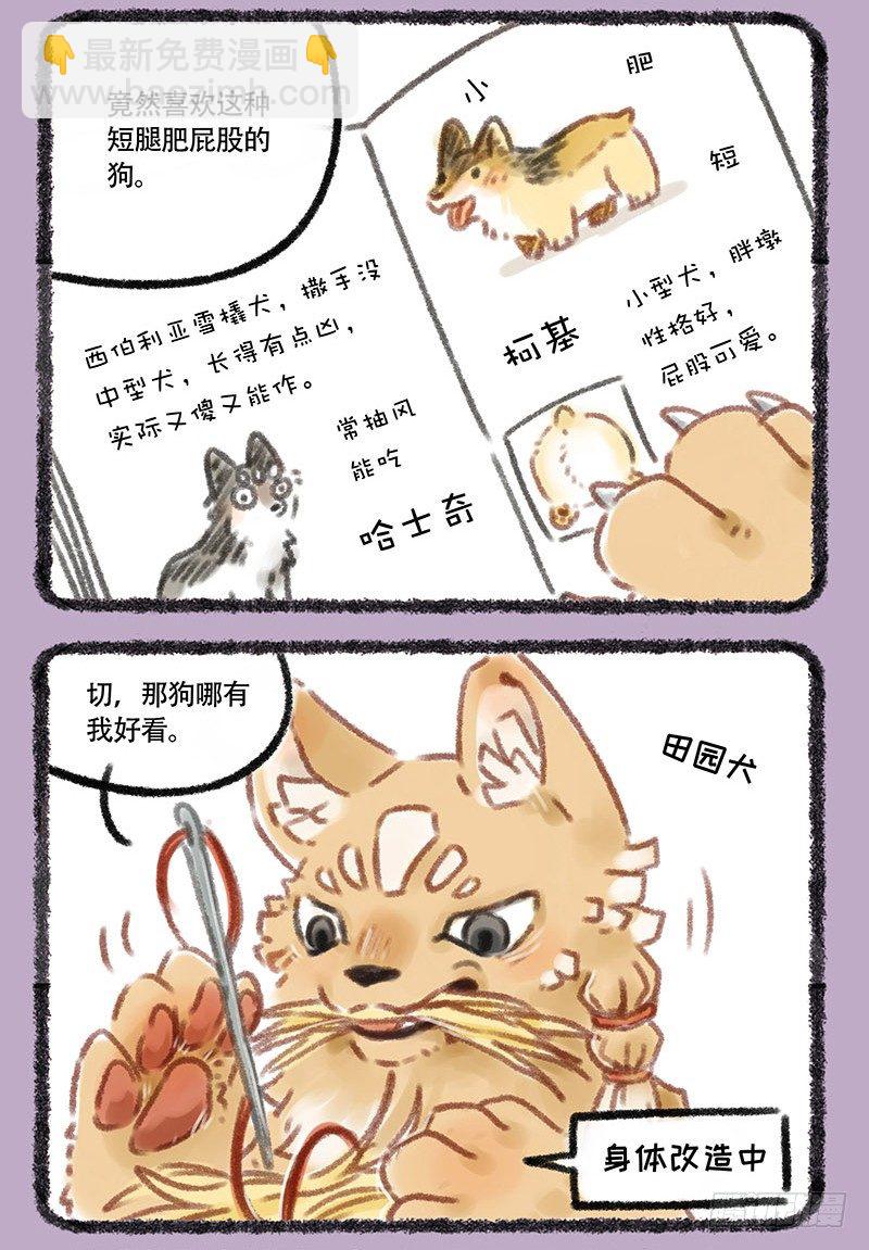 🍜有兽焉 草编狗 第2页