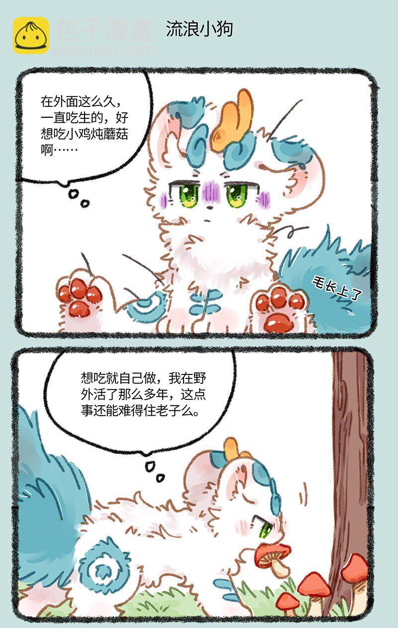 🍜有兽焉 854 流浪小狗 第5页