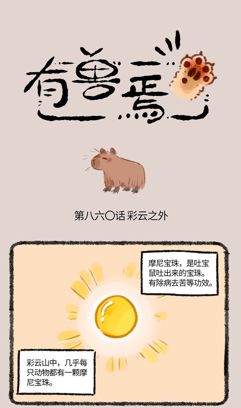 🍜有兽焉 860 水豚的机遇 第1页