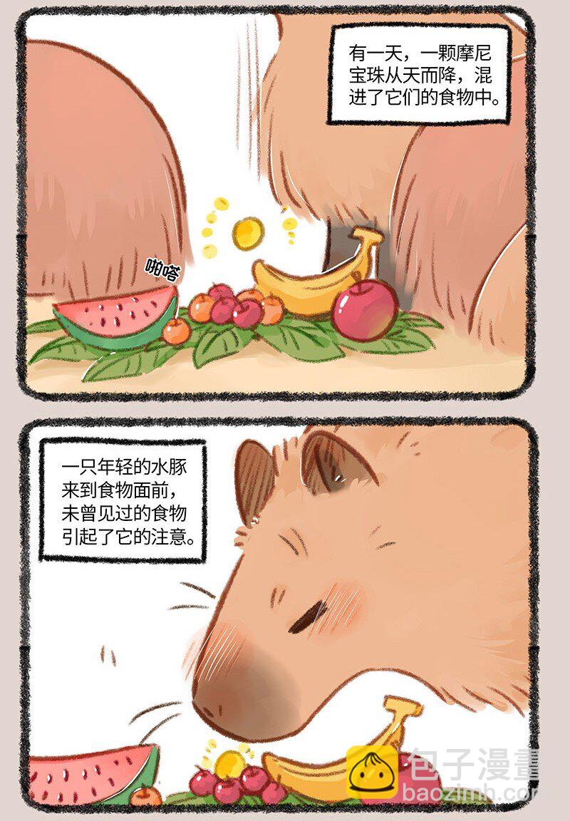 🍜有兽焉 860 水豚的机遇 第5页