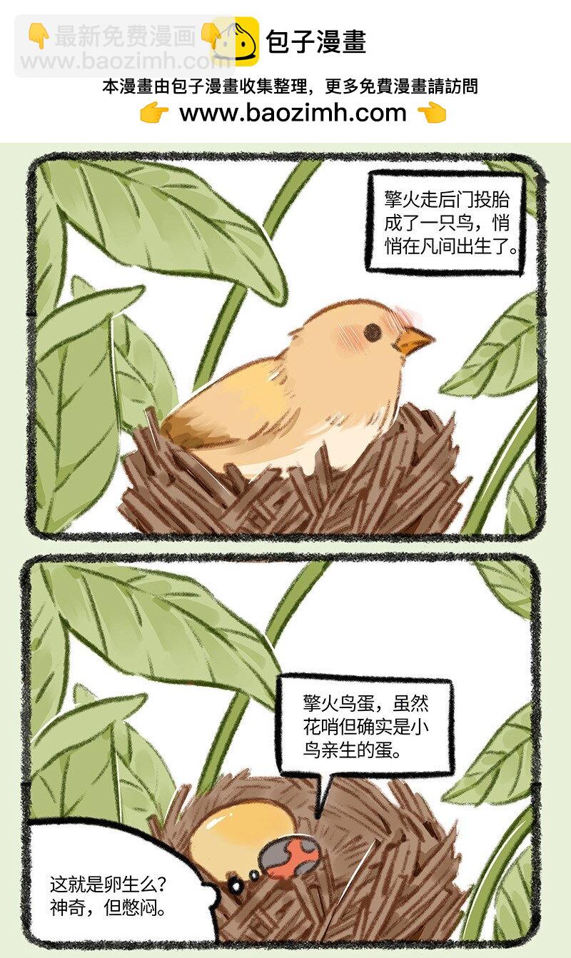 🍜有兽焉 876 物竞天择 第2页