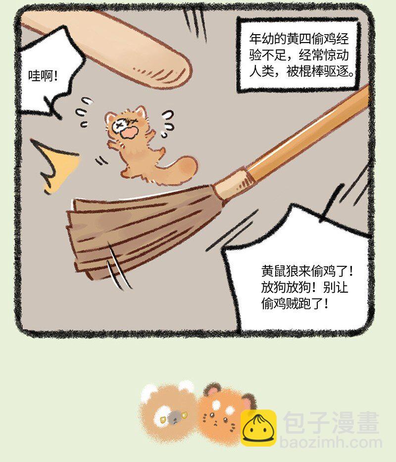 🍜有兽焉 956 五弟，生日快乐 第4页