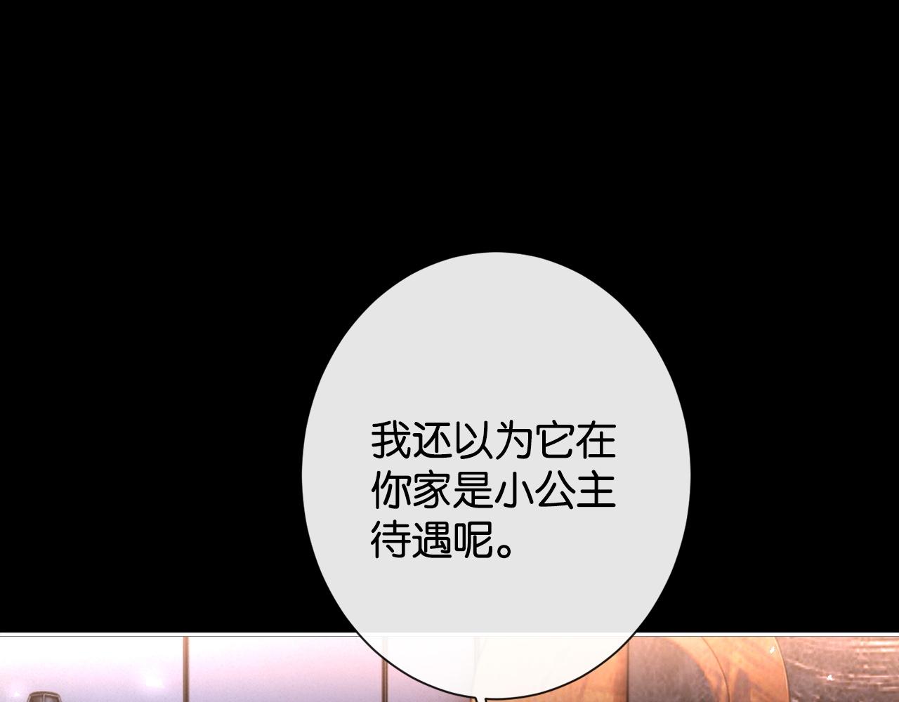 第35话 醋王争霸赛(1/3)-第37话