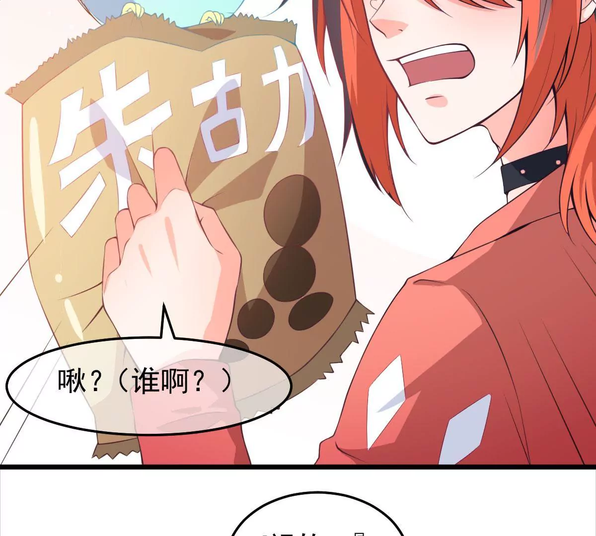 第48话 找到青鸟！(1/2)-第49话