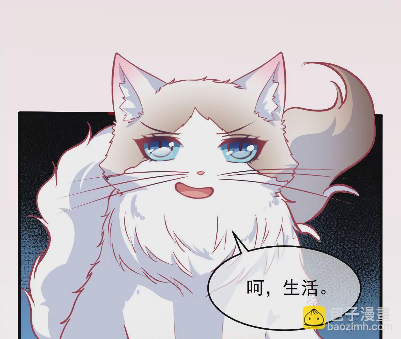 第72话 十年的记忆礼盒(1/2)-第73话