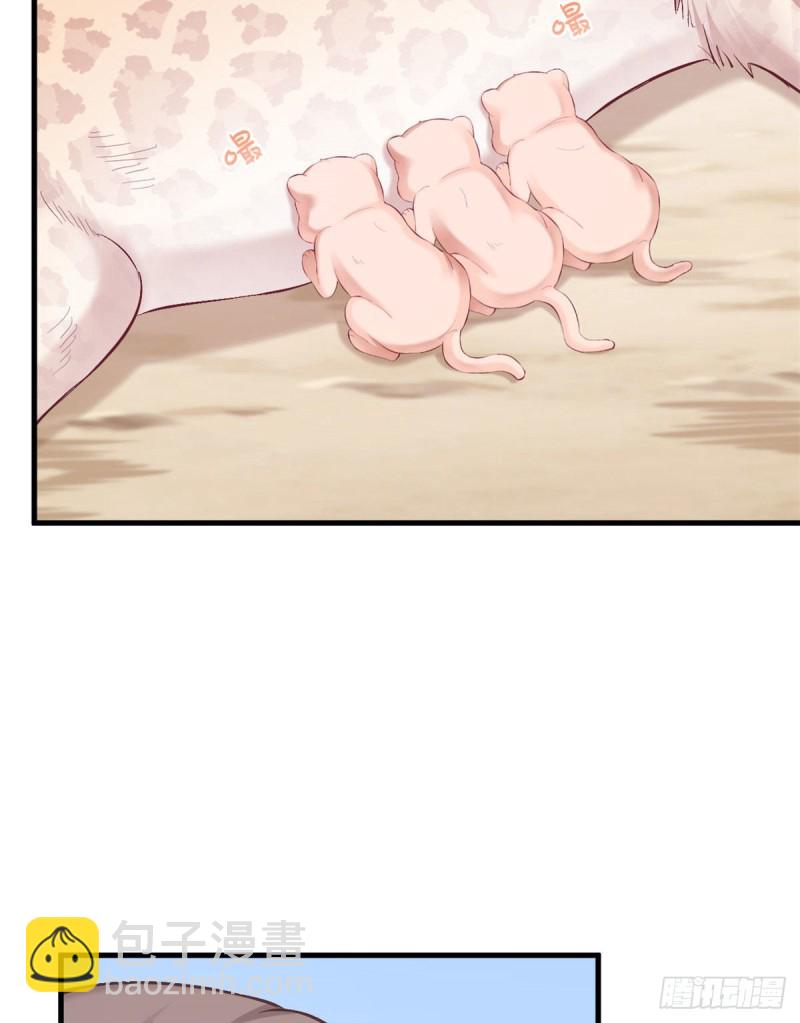 第204话(1/2)-第205话