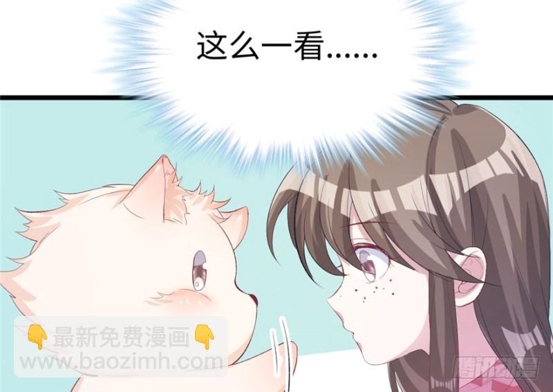 第71话(1/2)-第71话