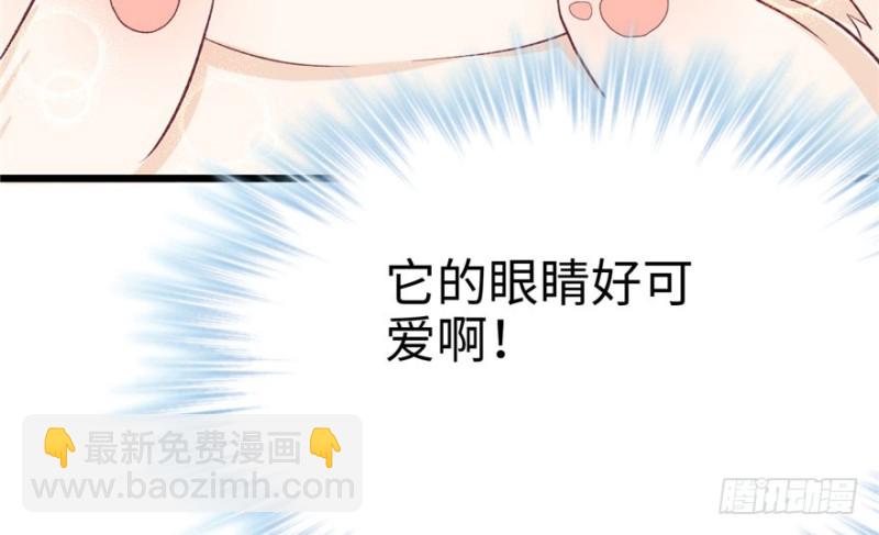 第71话(1/2)-第71话
