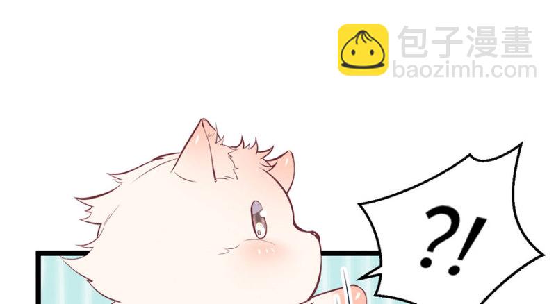 第71话(1/2)-第71话