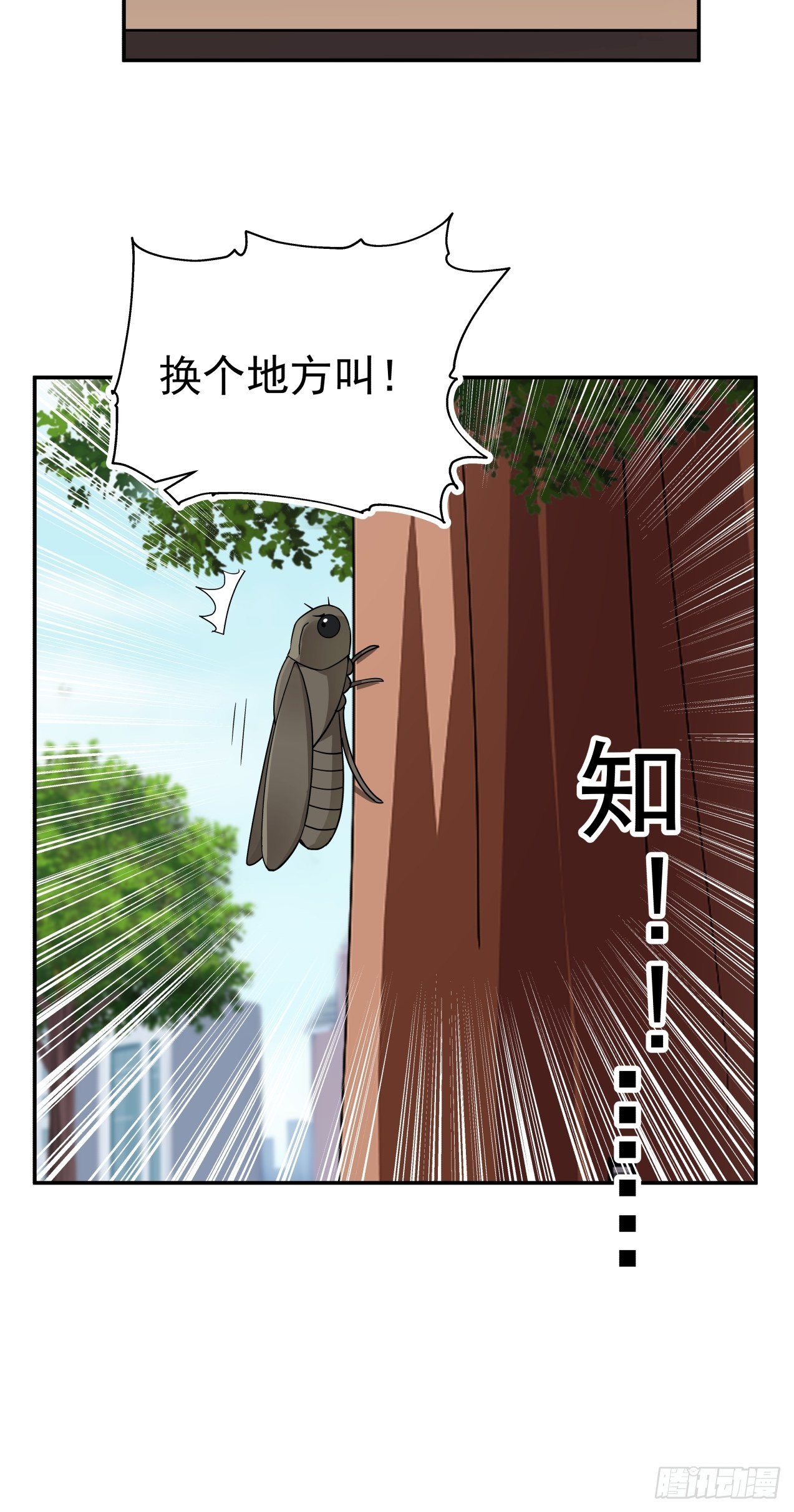 第24话 心疼-第25话