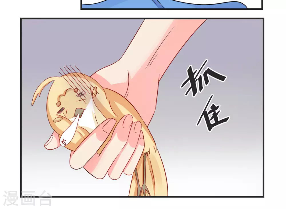 第31话-第31话