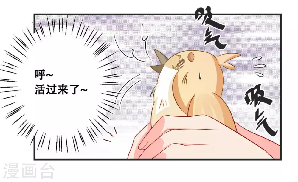 第31话-第31话