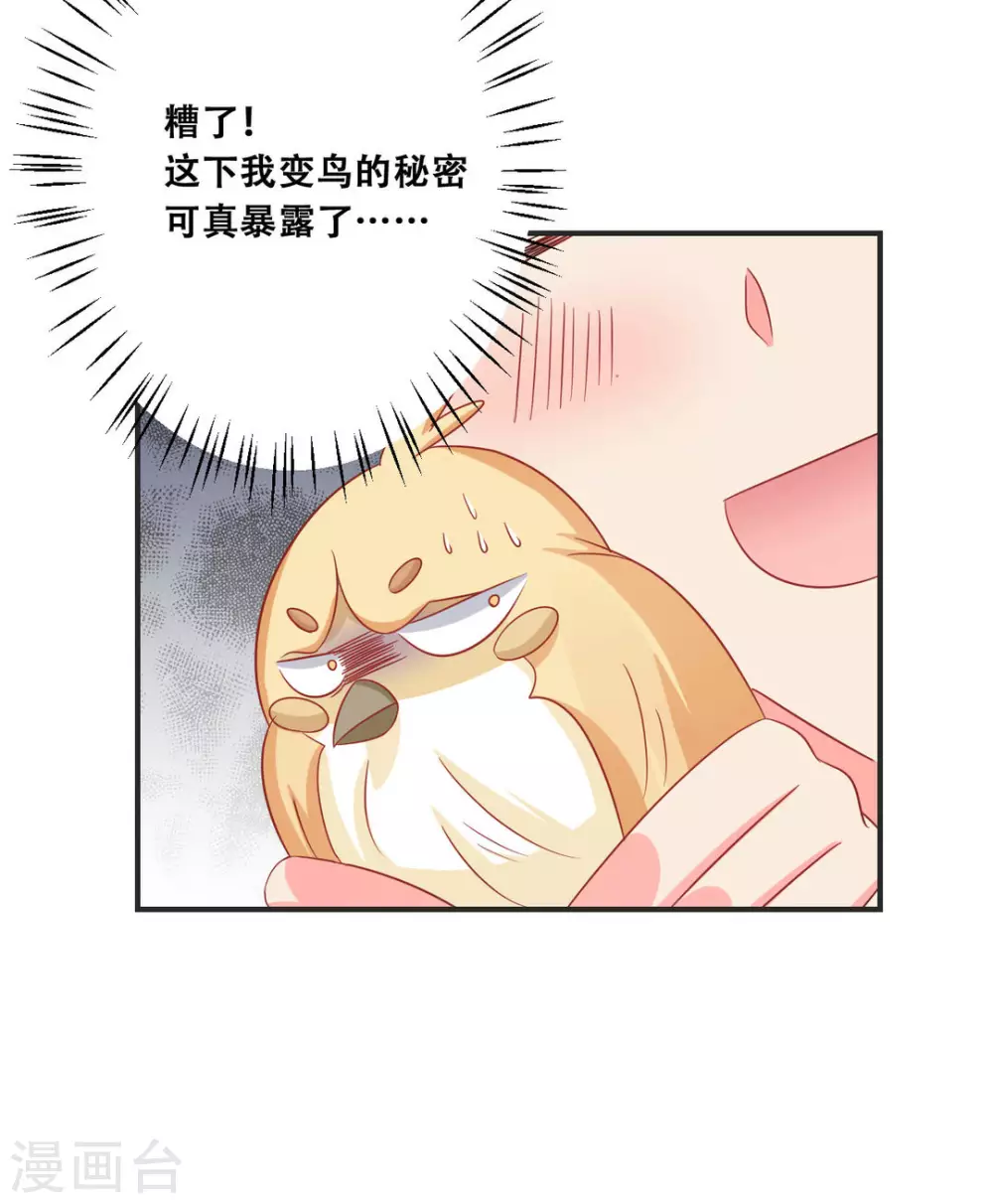 第31话-第31话