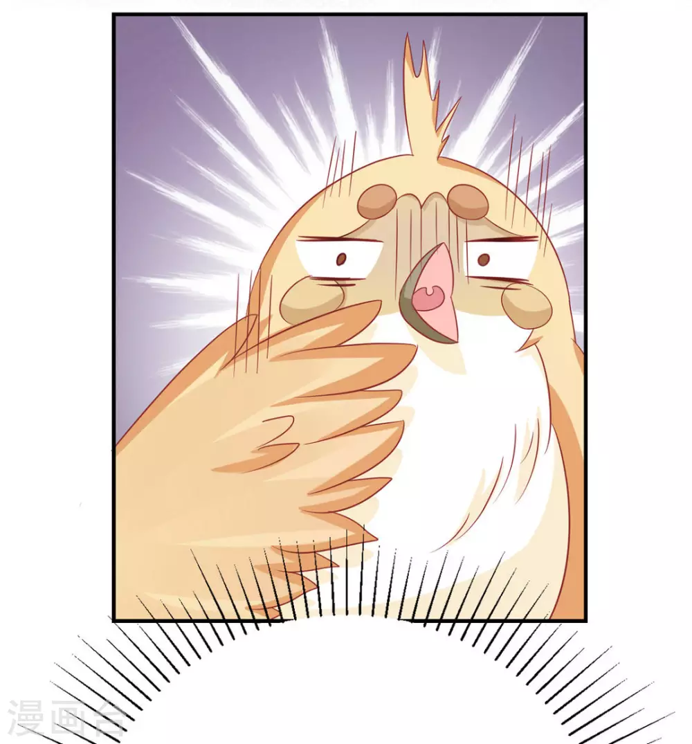 第35话-第35话
