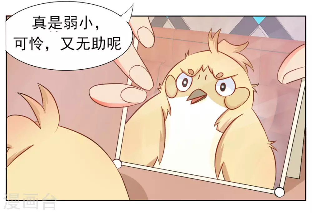 第5话-第5话