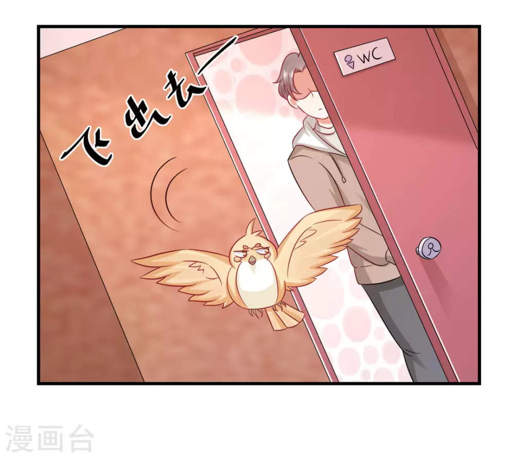 第41话-第41话