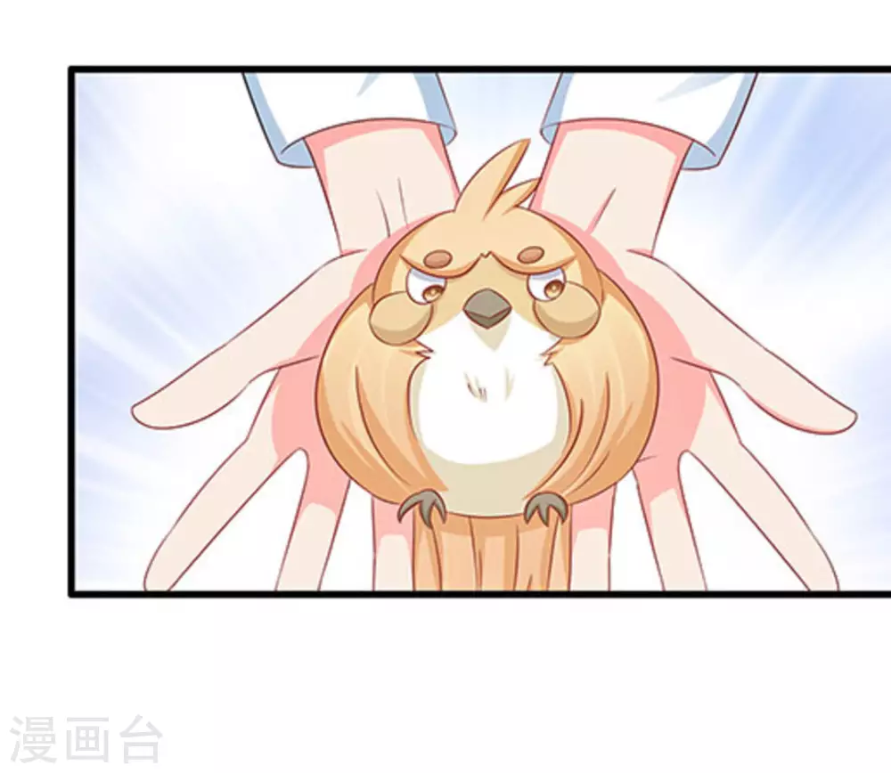 第67话-第67话
