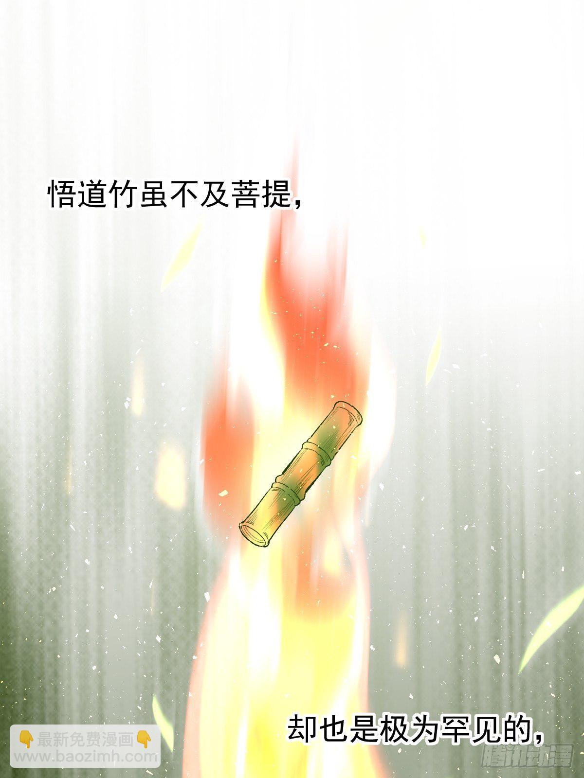 🍜原来我是修仙大佬 第三十话 第12页