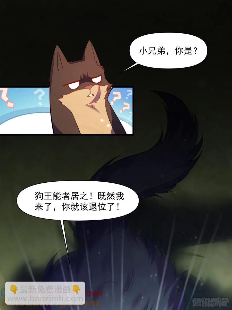 🍜原来我是修仙大佬 348话 第34页