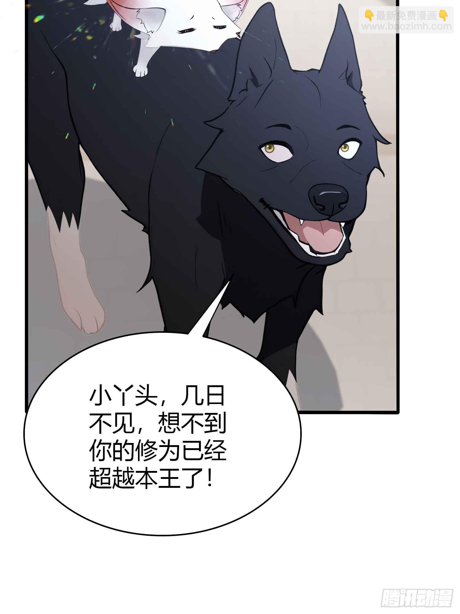 第181话 是自愿的就别眨眼！-第181话