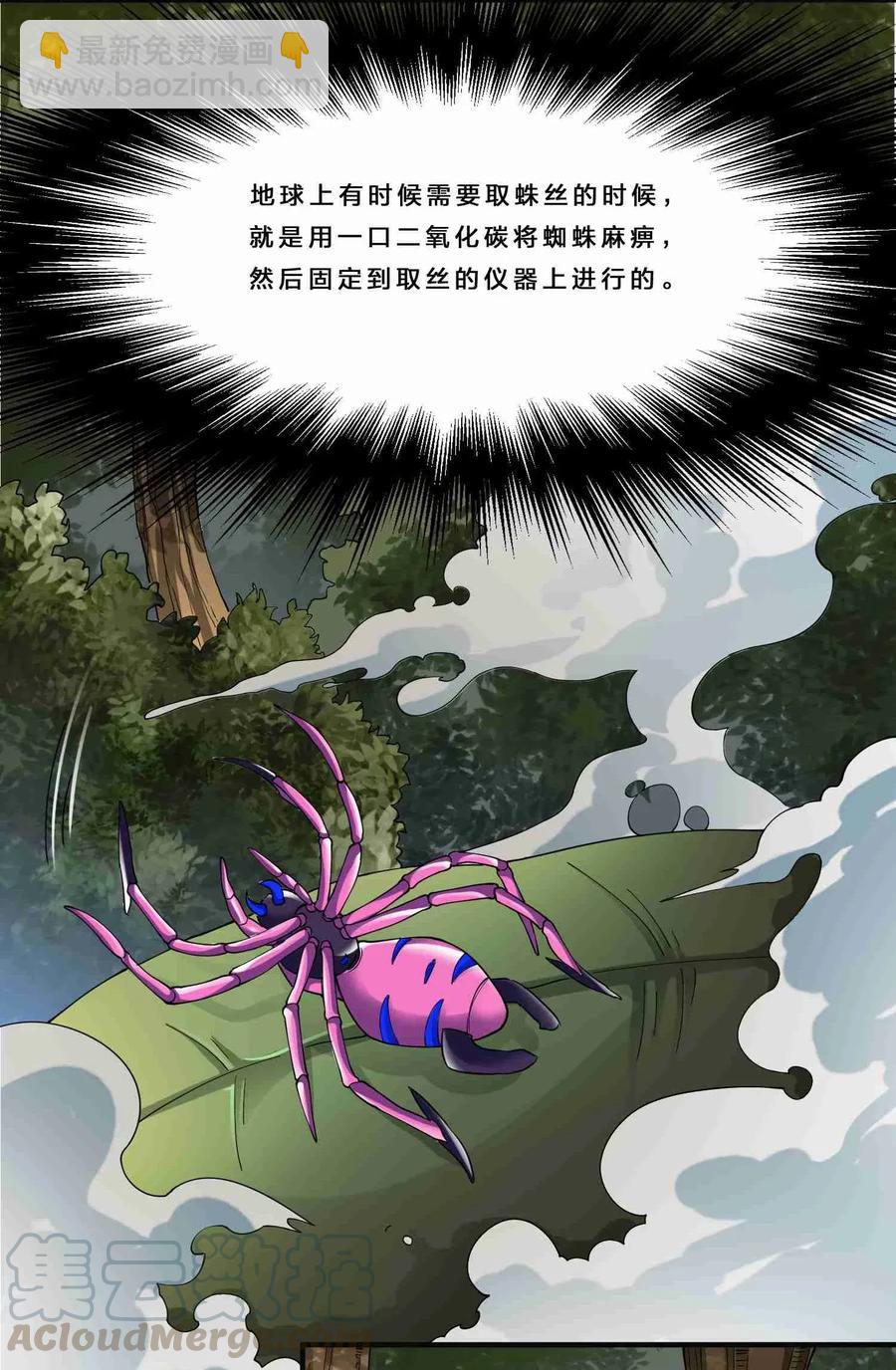 079 暗杀从抓小蜘蛛开始-第81话