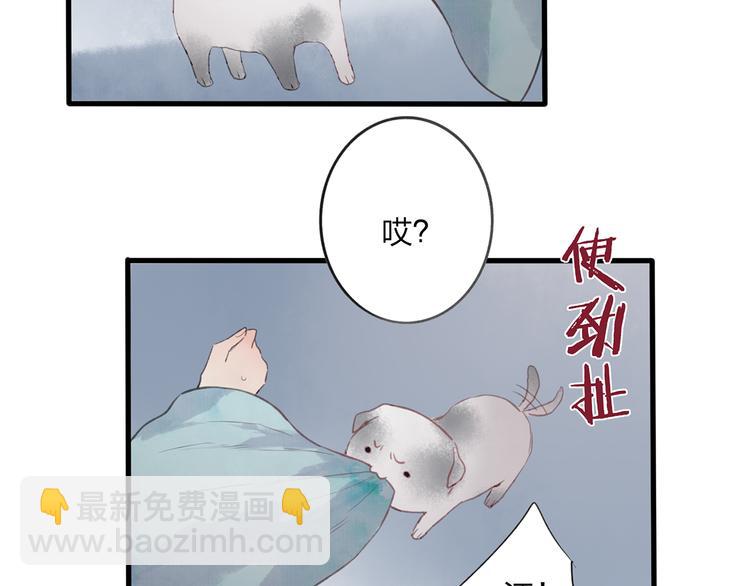 第42话 为了我舍弃性命也没关系吗(1/2)-第43话