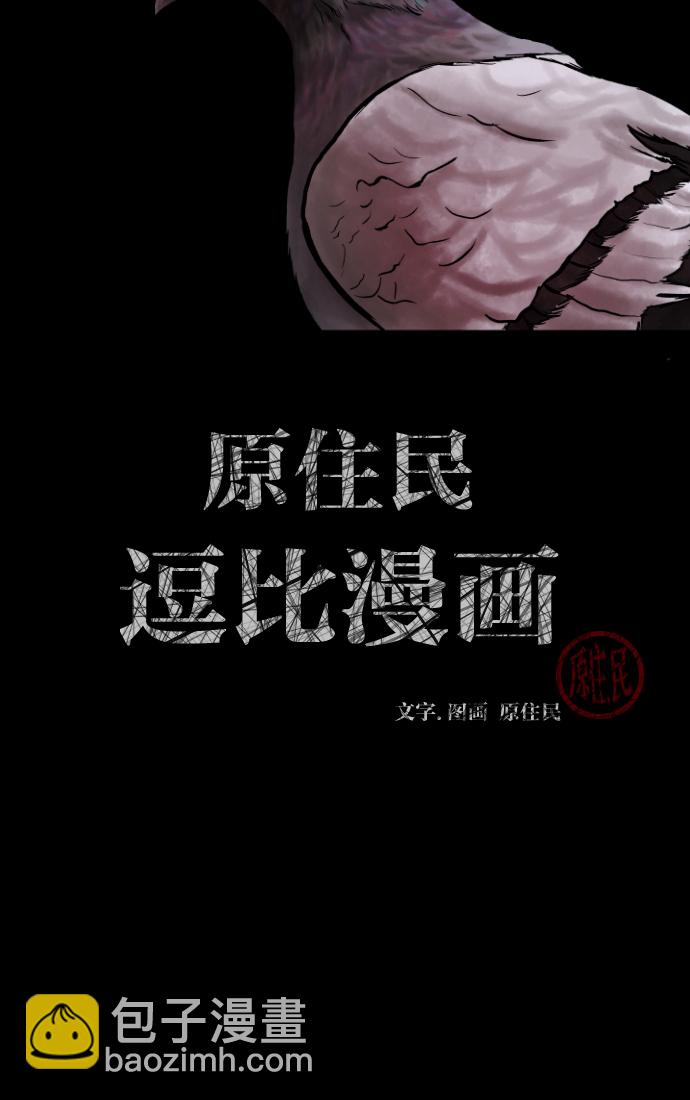 🍜原住民逗比漫画 [第31话] 鸽子村 第2页