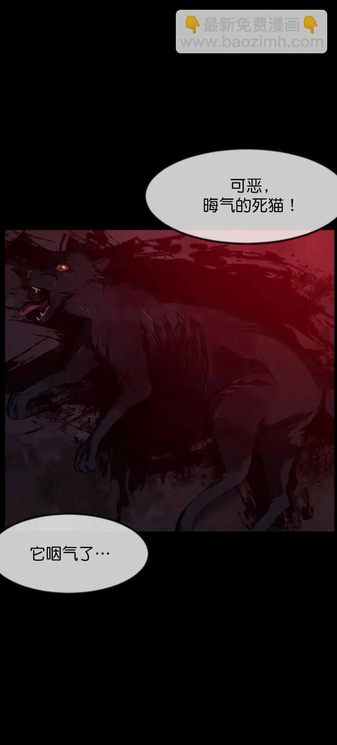🍜原住民逗比漫画 [第313话] 猫灵 第10页