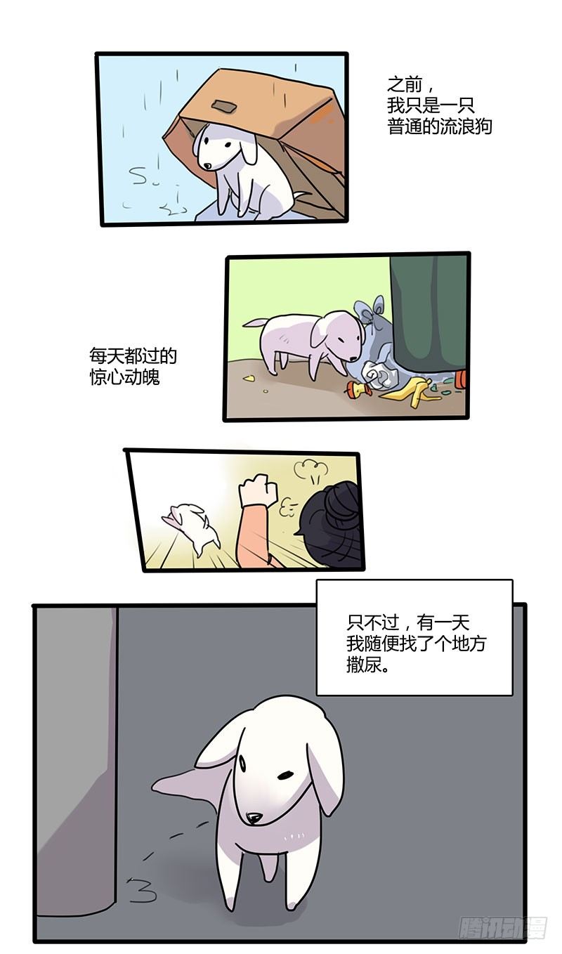 一只中华田园犬的控诉-第21话