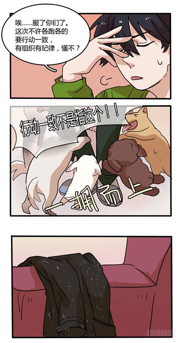 是谁说狗是人类的好朋友呢？-第9话