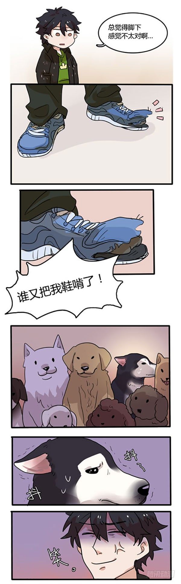 是谁说狗是人类的好朋友呢？-第9话