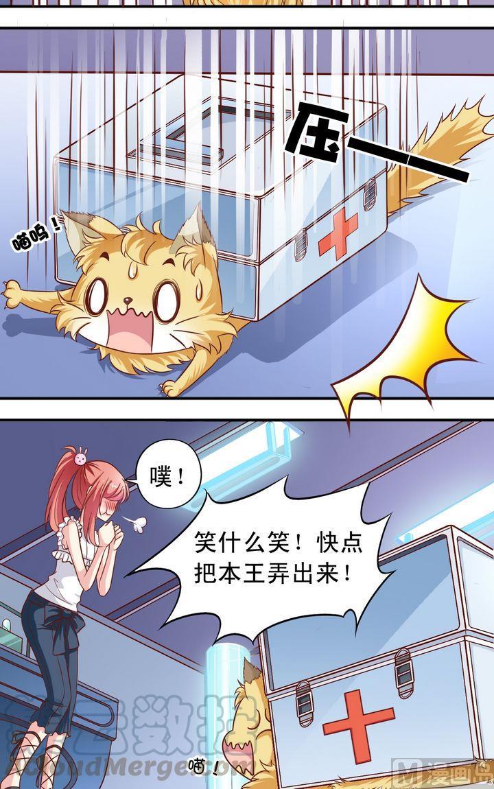 第64回 受伤了-第65话