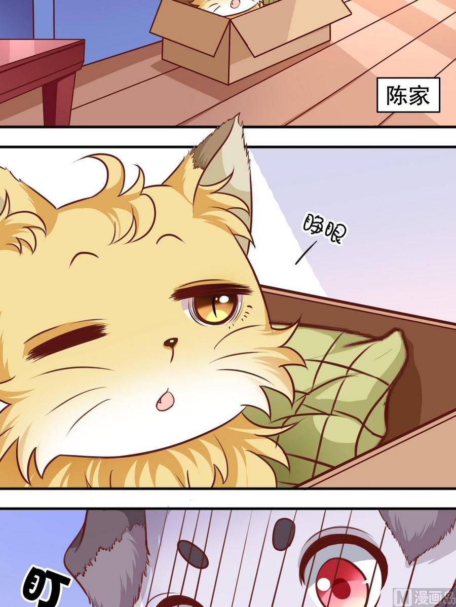 第70话 一见钟情-第71话