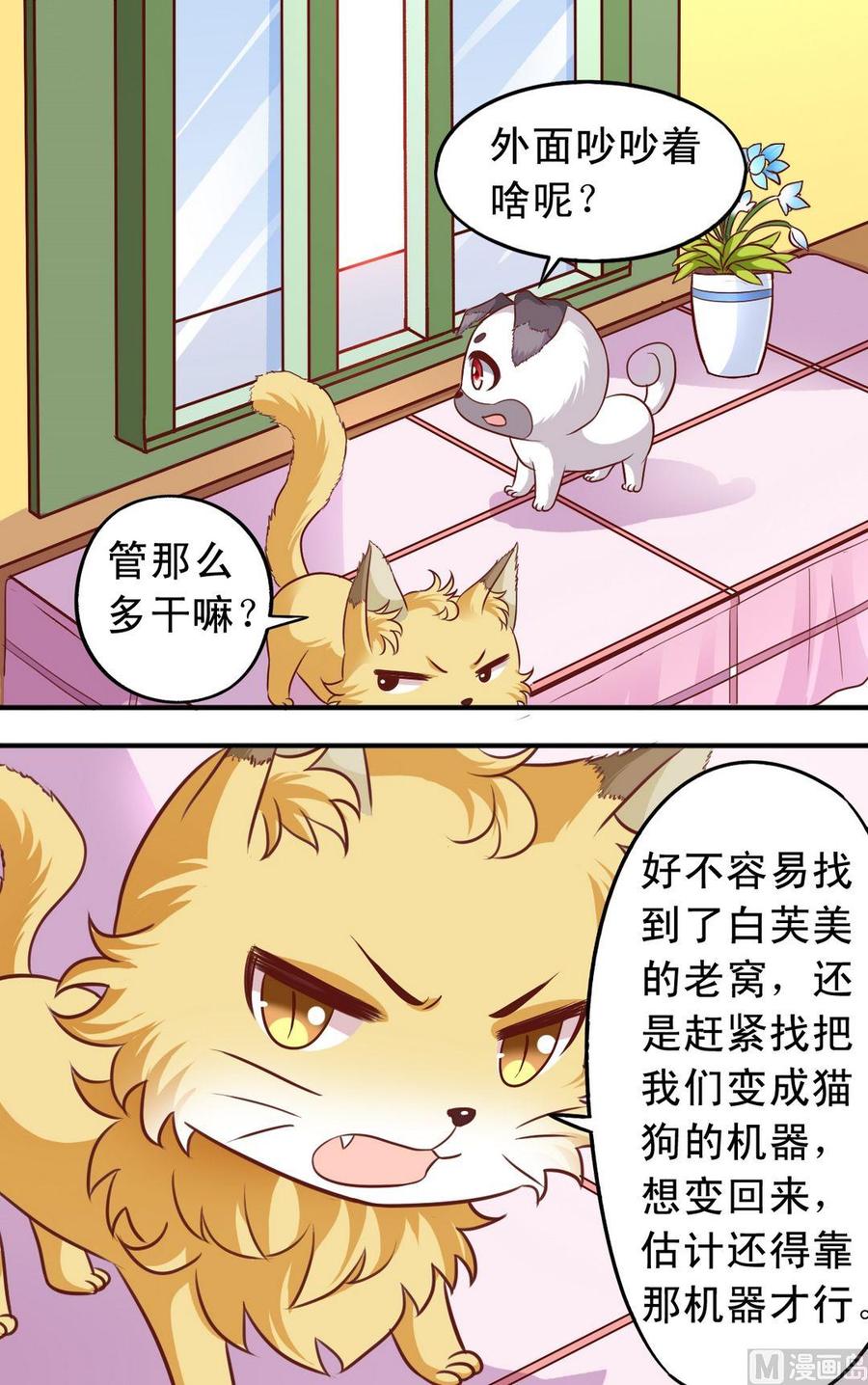 第72话 兔女郎追击-第73话