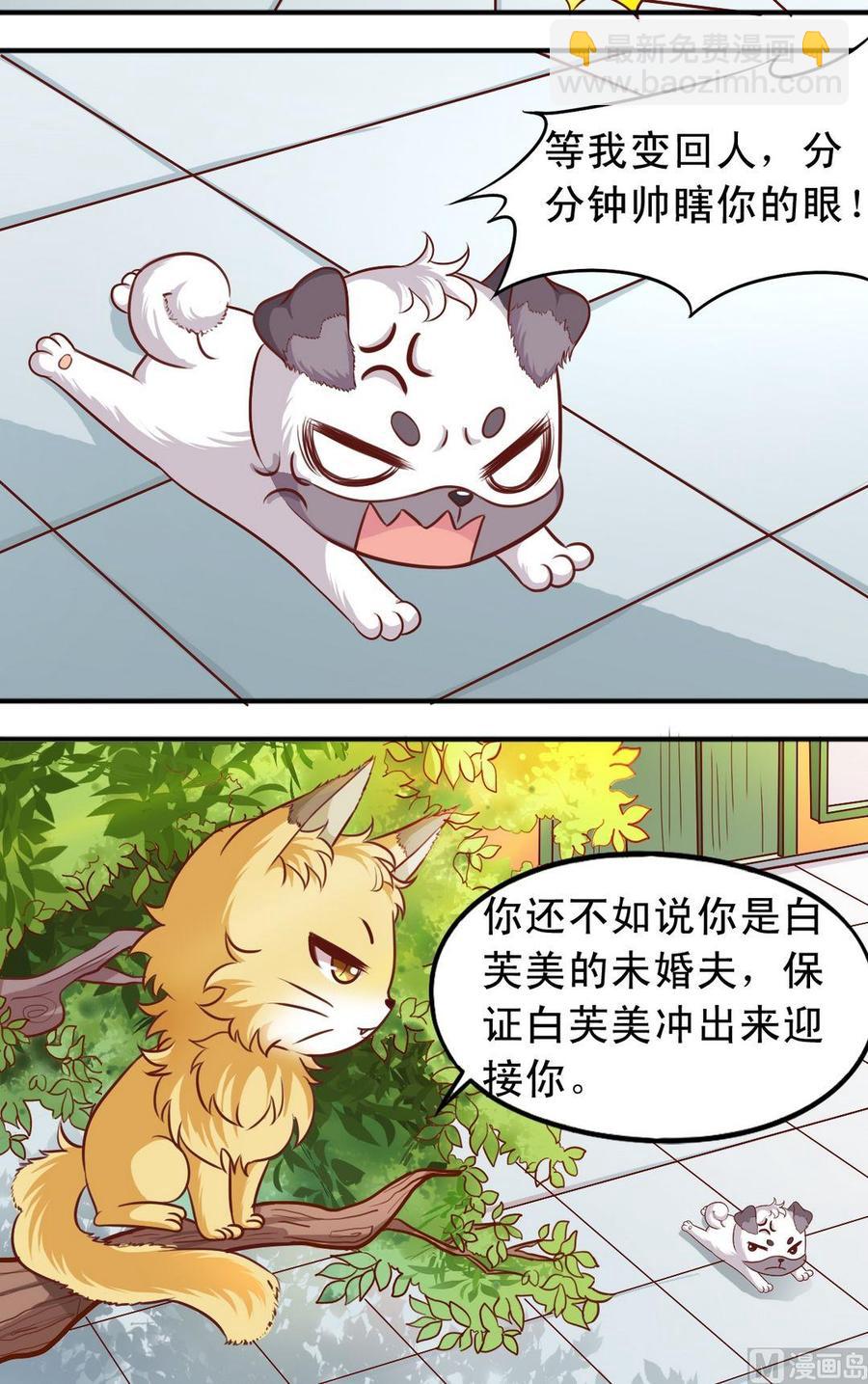 第72话 兔女郎追击-第73话