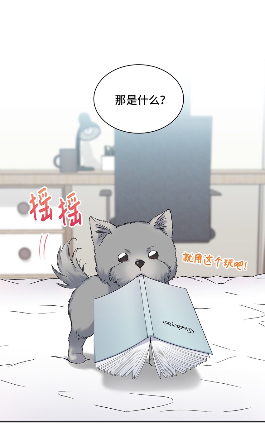 37 演戏练习(1/2)-第37话