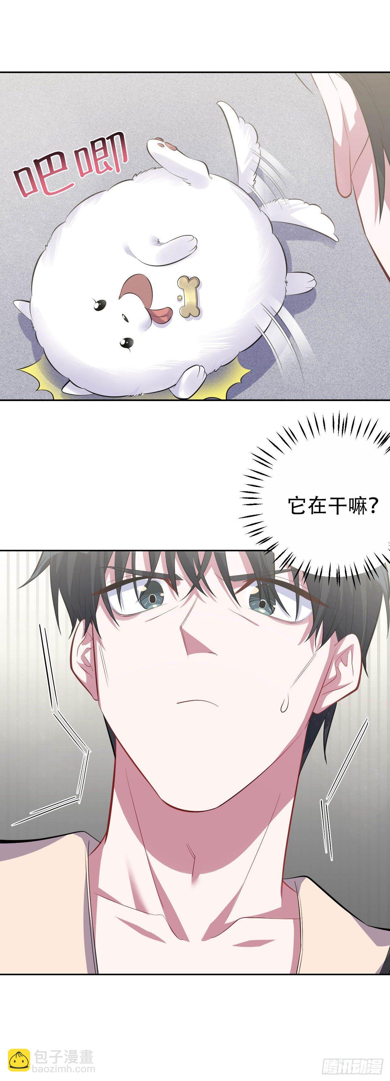 27.球球的逆袭！-第29话