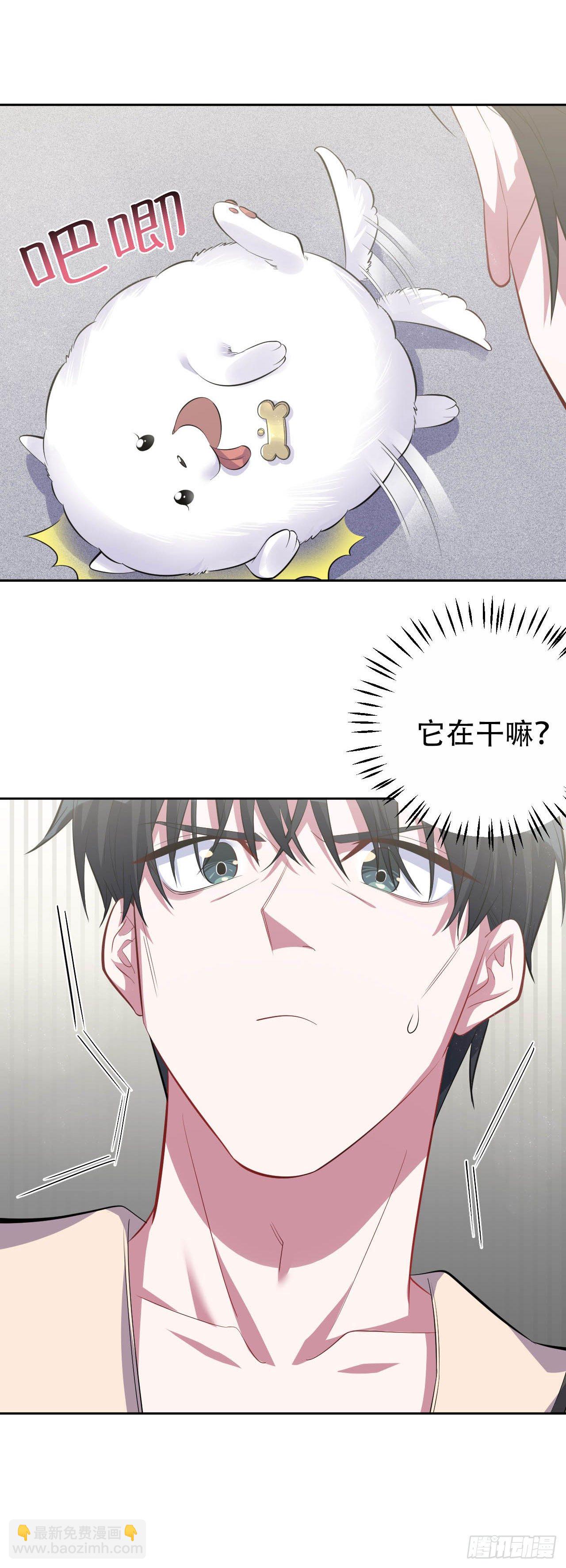 27.球球的逆袭！-第29话