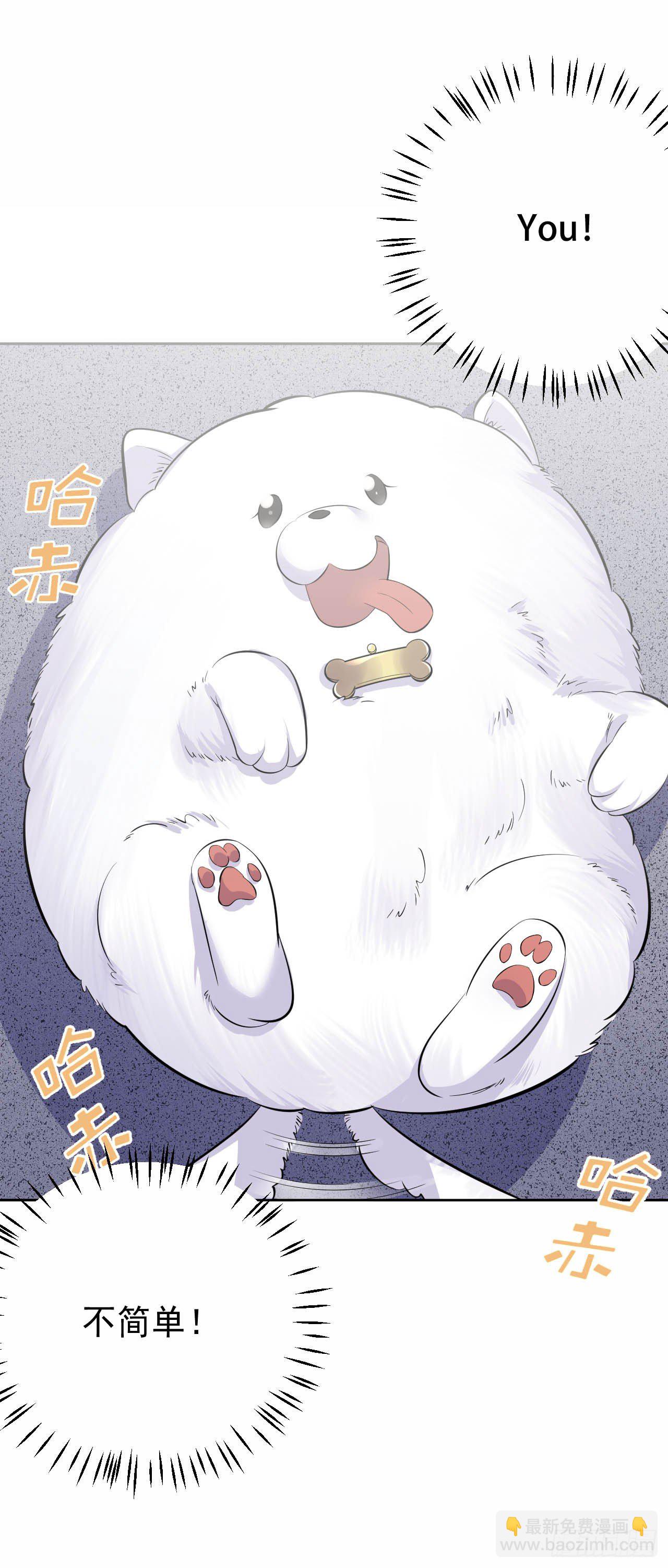 27.球球的逆袭！-第29话