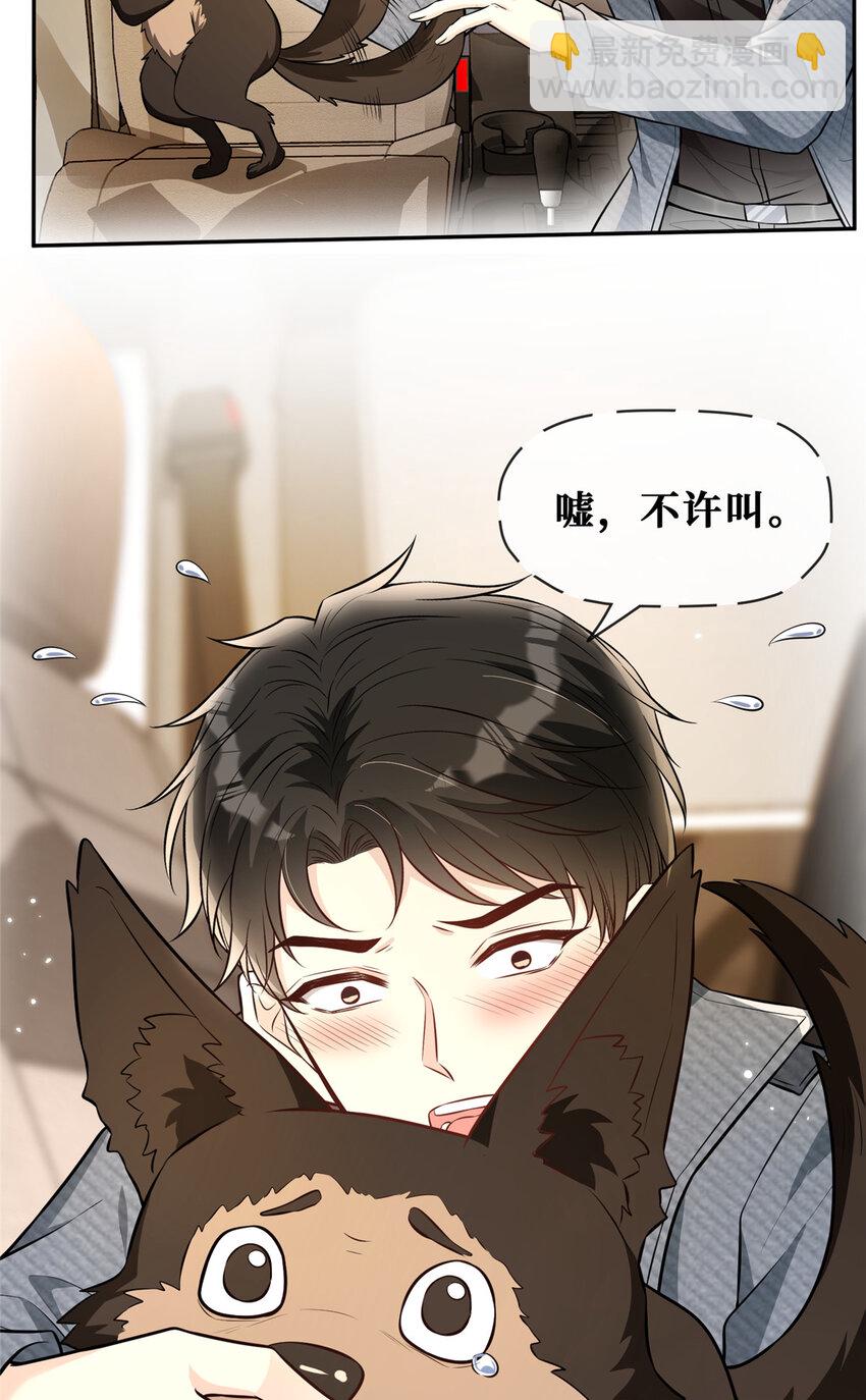 73 狗子的助攻-第75话