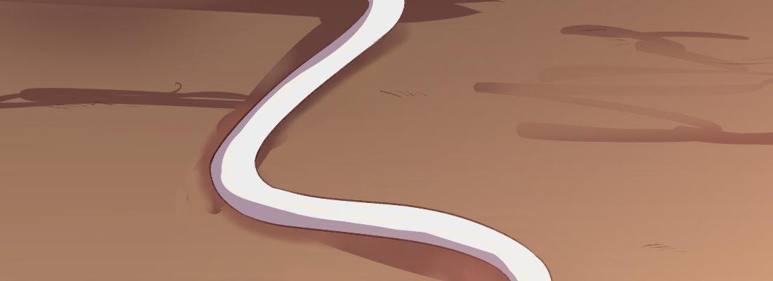 童年的友情(1/4)-第31话