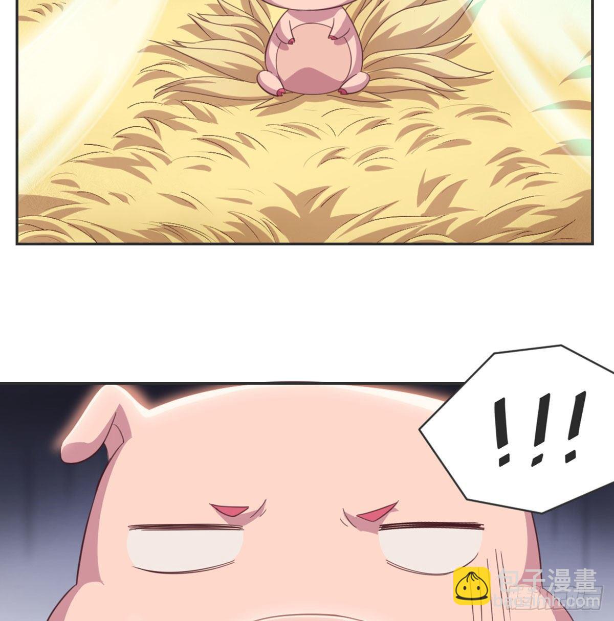 番外  傻猪有傻福-第91话