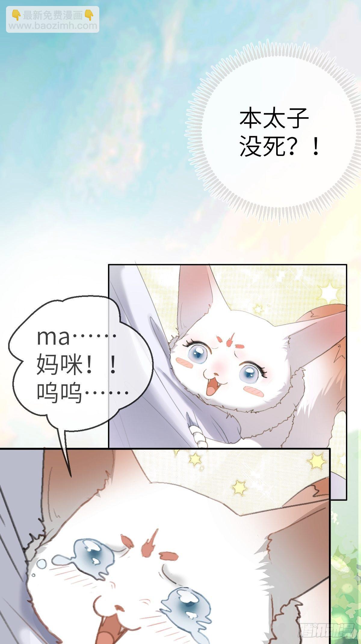放料：预告-第1话